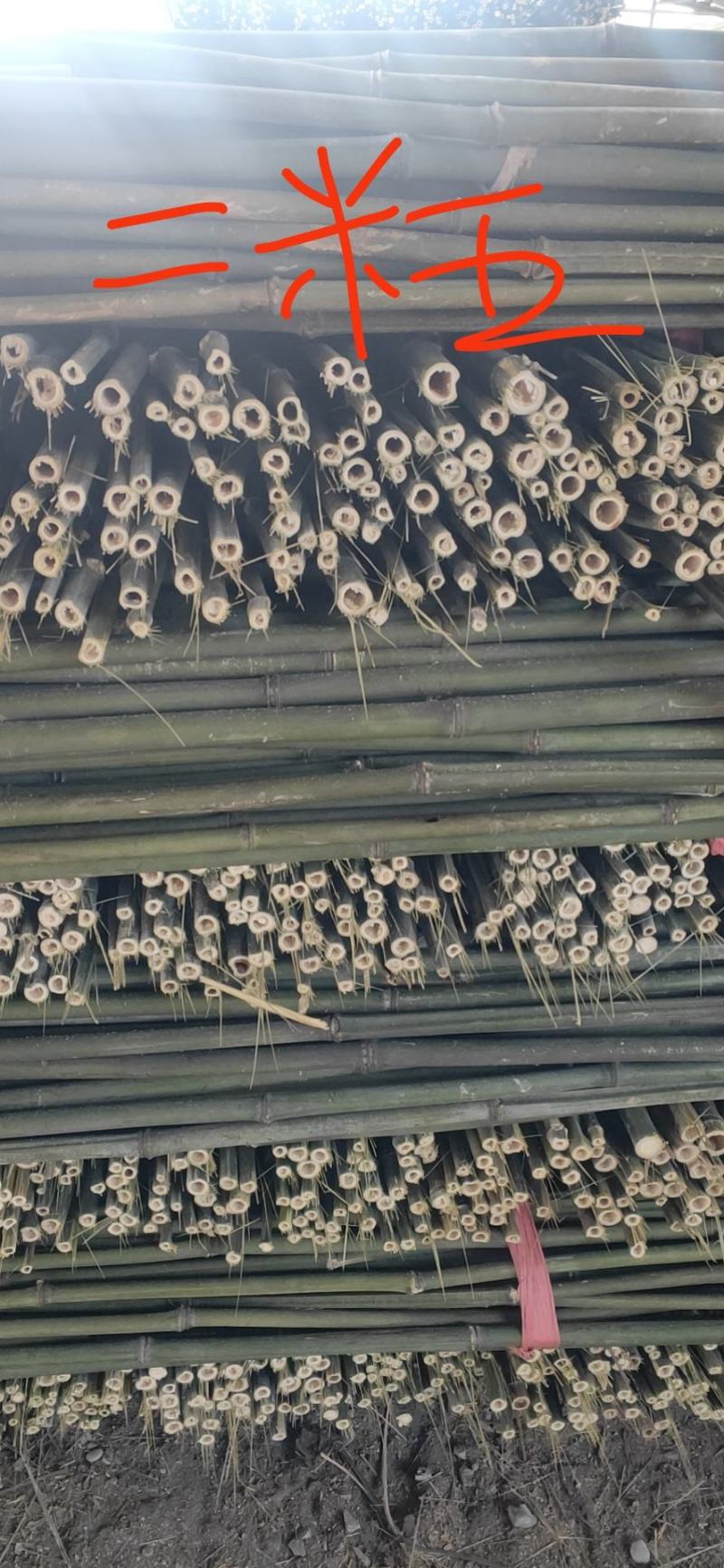 绿化竹竿大量批发，质量美丽，价格实惠。欢迎各位老板来厂考