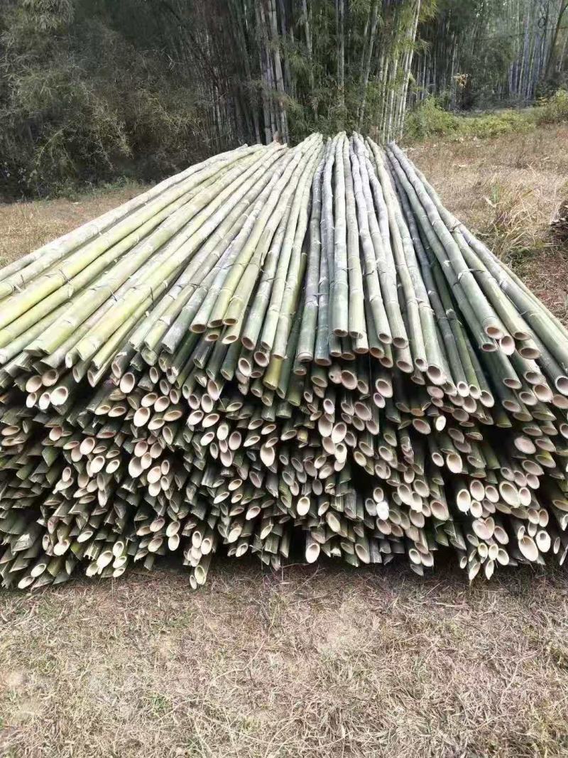 绿化竹竿大量批发，质量美丽，价格实惠。欢迎各位老板来厂考