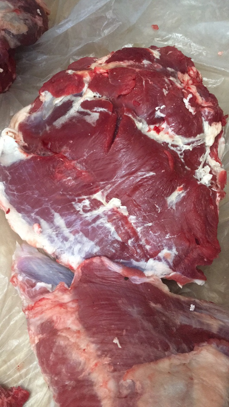 鲜牛肉，纯干无水正宗黄牛肉，大公牛，当天现宰，手续齐全