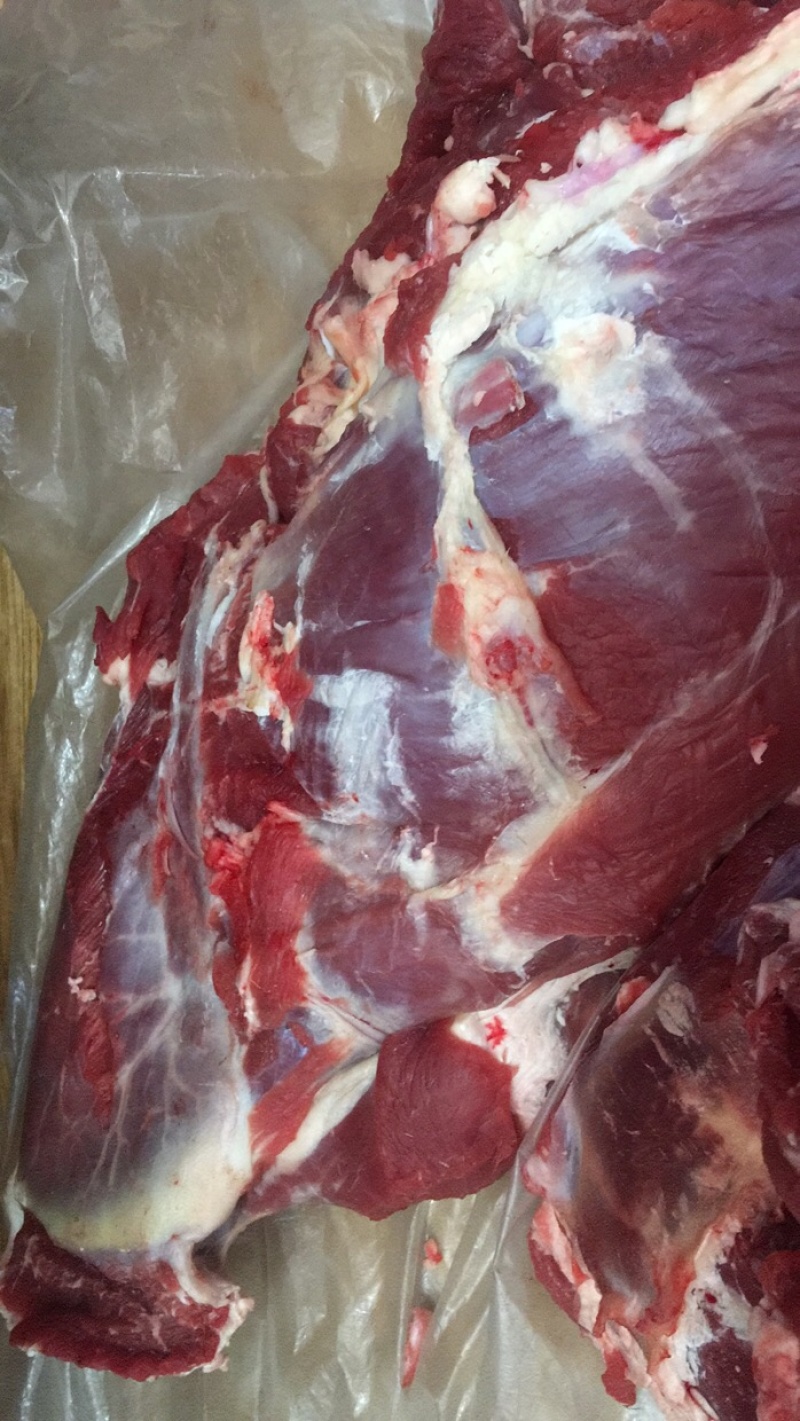 鲜牛肉，纯干无水正宗黄牛肉，大公牛，当天现宰，手续齐全