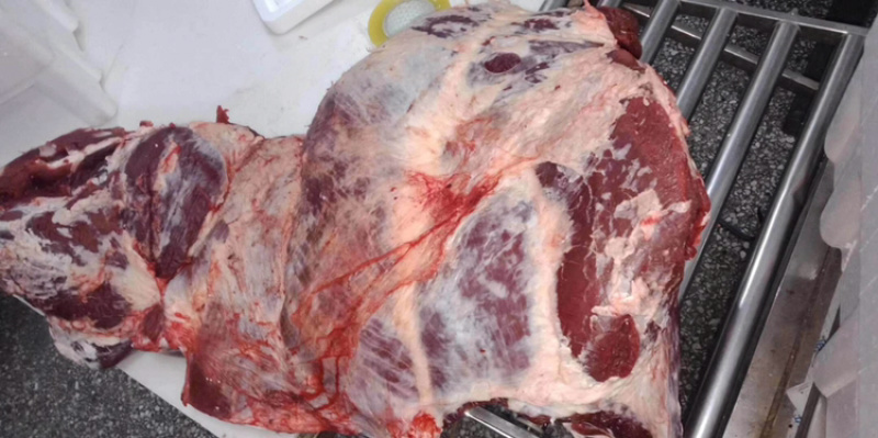 鲜牛肉，纯干无水正宗黄牛肉，大公牛，当天现宰，手续齐全