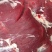鲜牛肉，纯干无水正宗黄牛肉，大公牛，当天现宰，手续齐全
