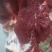 鲜牛肉，纯干无水正宗黄牛肉，大公牛，当天现宰，手续齐全