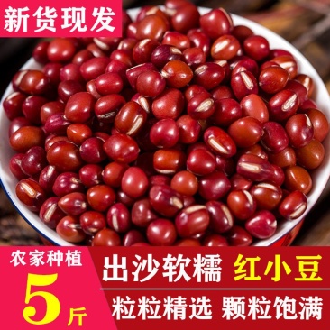 红小豆新货出沙软糯粒粒精选颗粒饱满多省包邮