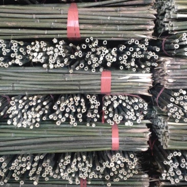 绿化竹竿大量批发。质量优東。各种规格的竹竿都有。欢迎，