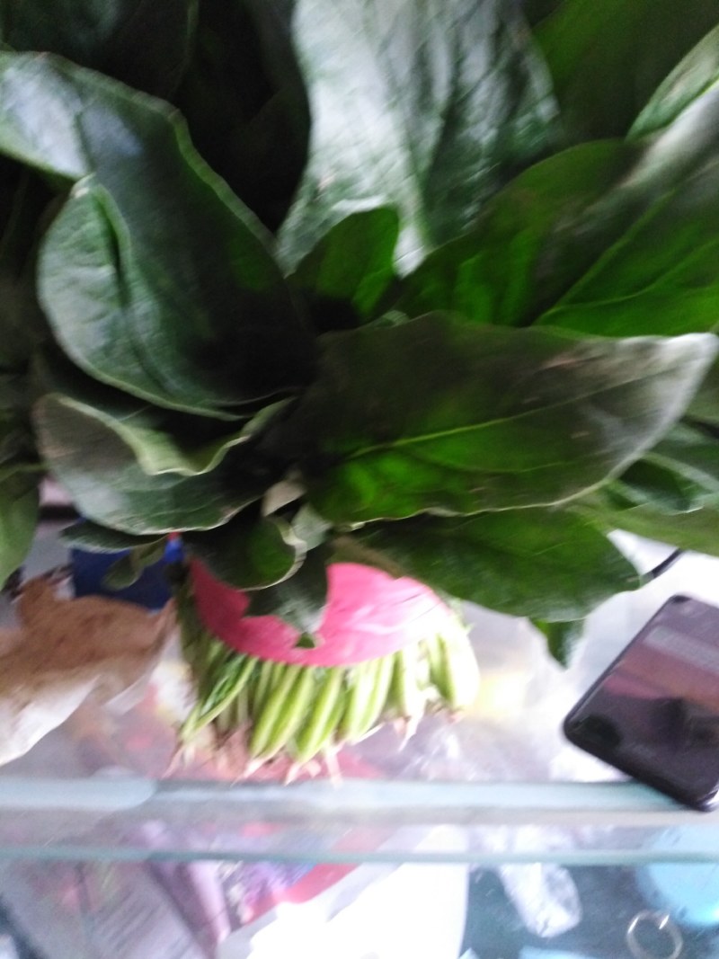 大叶菠菜，商超直供，代发全国各地，欢迎合作！