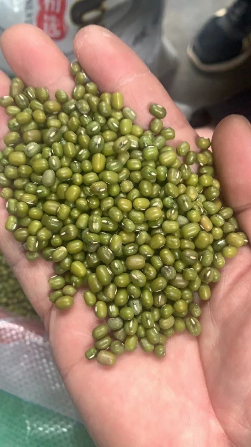 绿豆，干度好，颜色绿，经过精密机器筛选，质量保证！