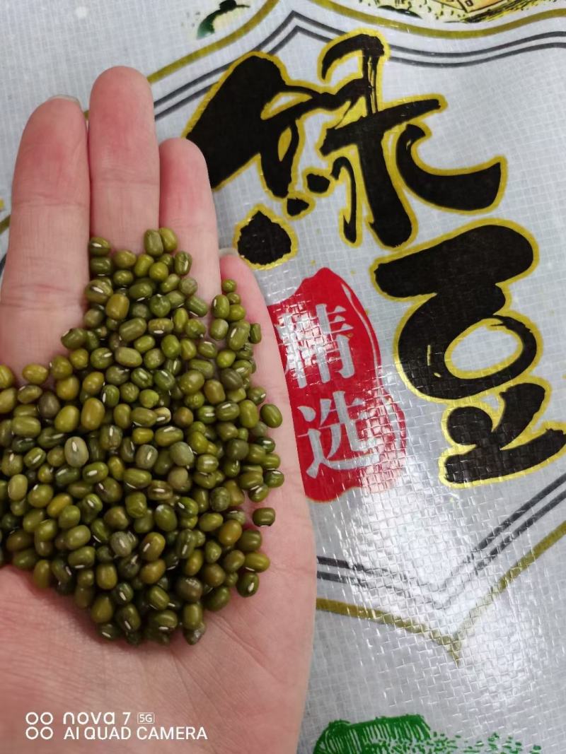 绿豆，干度好，颜色绿，经过精密机器筛选，质量保证！