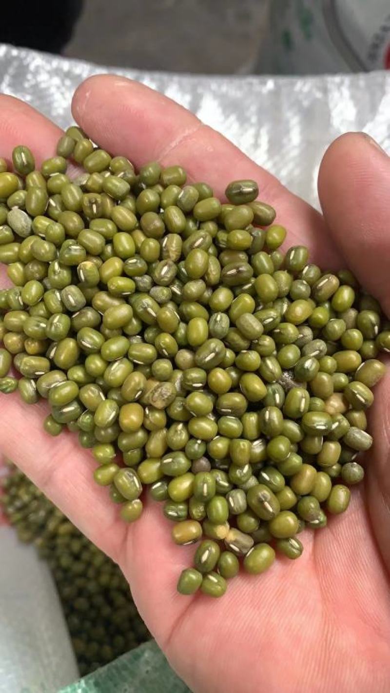 绿豆，干度好，颜色绿，经过精密机器筛选，质量保证！