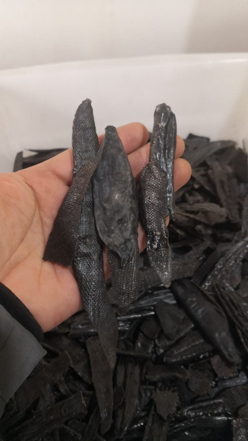 【包邮】水蛭蚂蟥水蛭干水蛭粉清水水蛭金边水蛭水蛭
