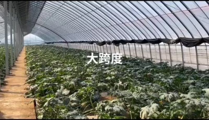 镀锌钢管大棚花卉养殖大棚温室大棚钢结构蔬菜种植大棚