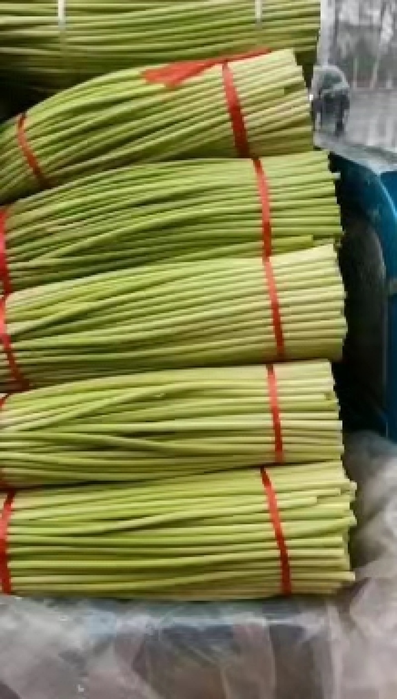 蒜苔红白帽蒜苔货源充足口感嫩脆万亩产地直供代办代发