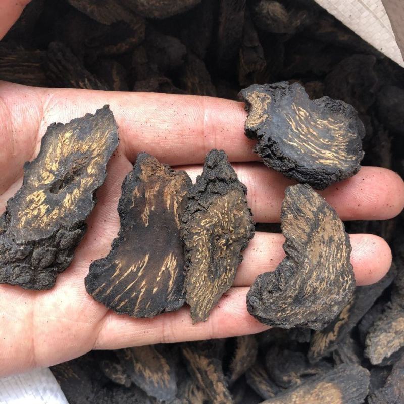 肉苁蓉新疆肉苁蓉硬大云产地直发代抓各种营养药方