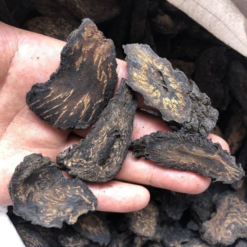 肉苁蓉新疆肉苁蓉硬大云产地直发代抓各种营养药方