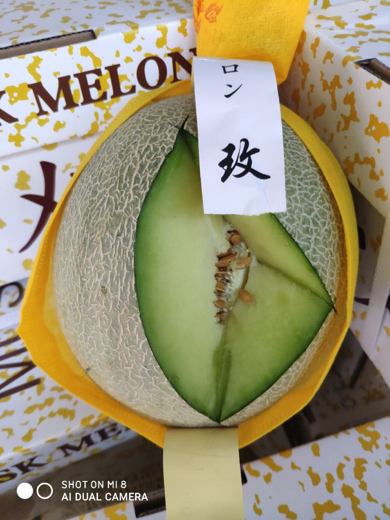 香瓜甜瓜藤瓜玫珑晓蜜25网纹瓜哈密瓜鲁厚甜