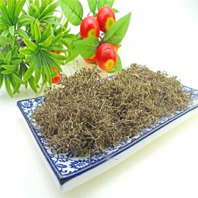 地锦草产地直供量大货好代抓各种药方