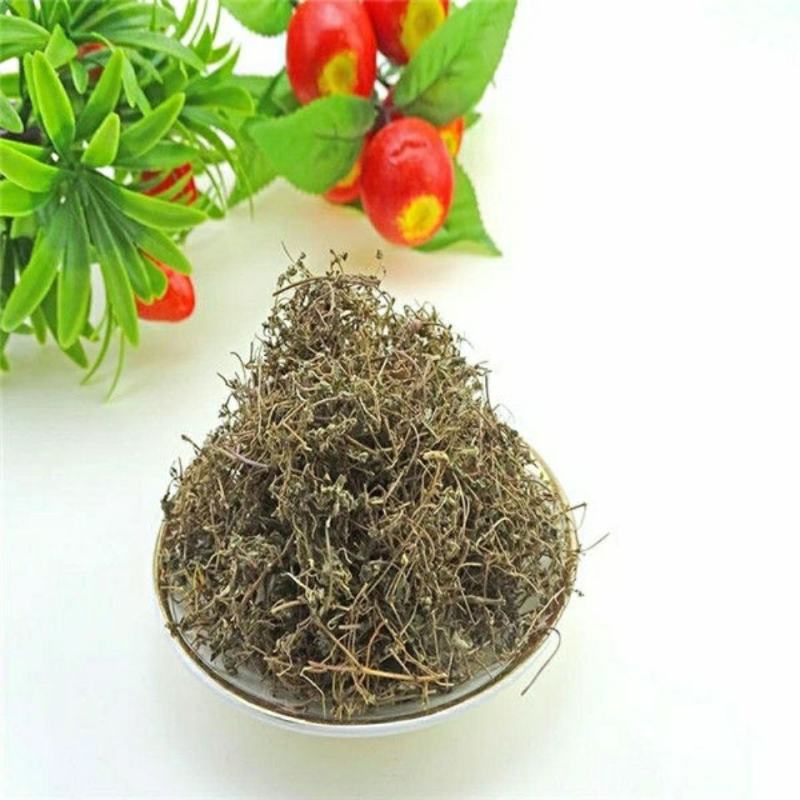 地锦草产地直供量大货好代抓各种药方