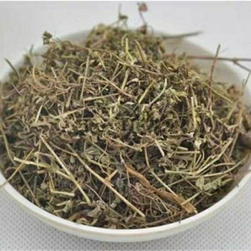 地锦草产地直供量大货好代抓各种药方