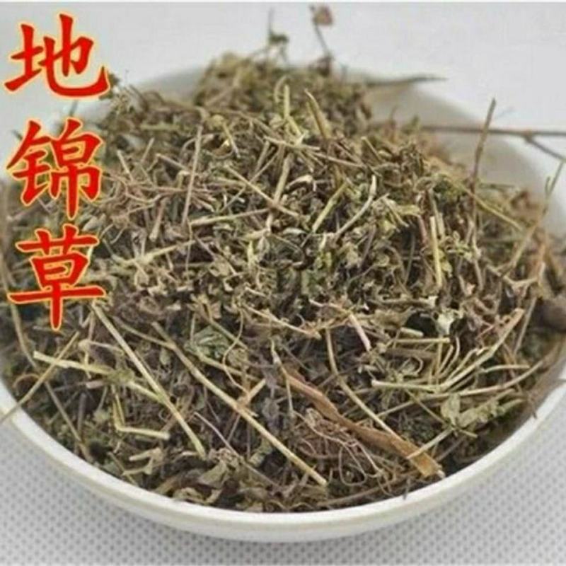 地锦草产地直供量大货好代抓各种药方
