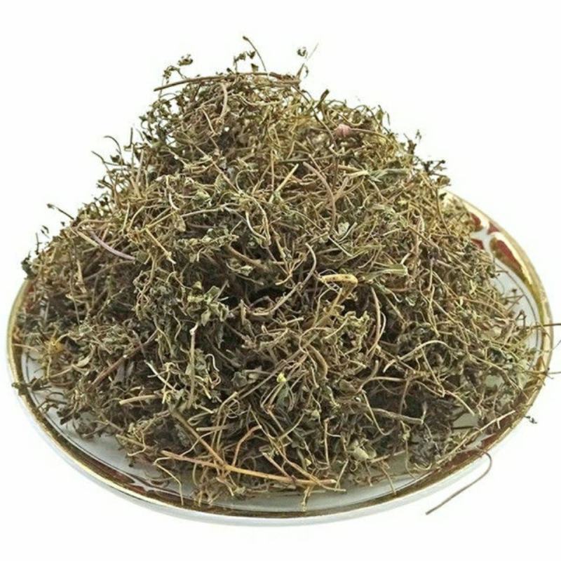 地锦草产地直供量大货好代抓各种药方