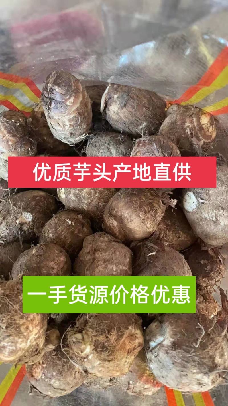 毛芋头【芋头精品芋头】产地直供坏烂包赔视频发货全国物流直