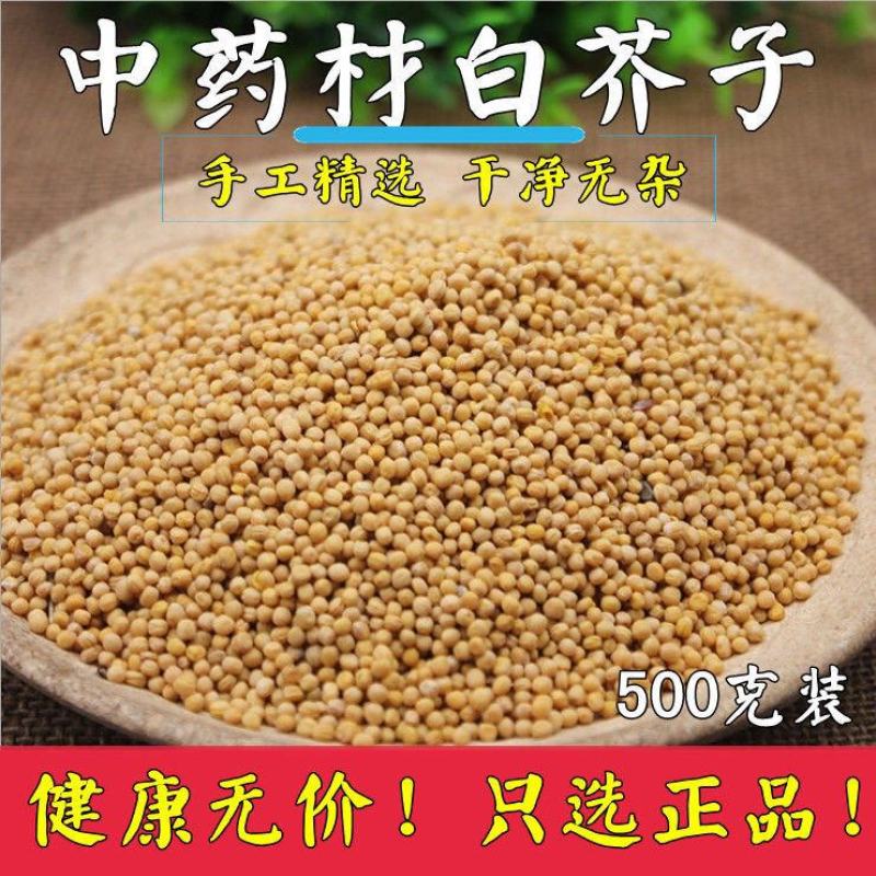 白芥子辣菜仔白介子农家新货白芥仔量大从优