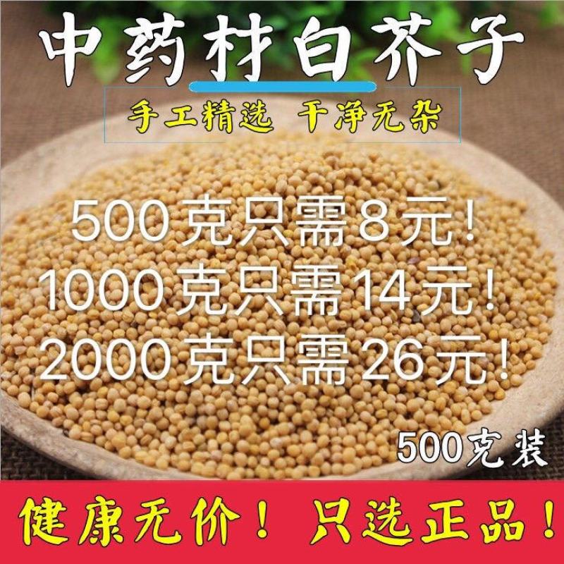 白芥子辣菜仔白介子农家新货白芥仔量大从优