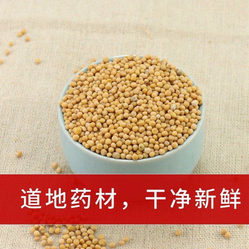 白芥子辣菜仔白介子农家新货白芥仔量大从优