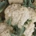 【热卖】有机80花菜，产地发货供，现货上市，欢迎来电咨询
