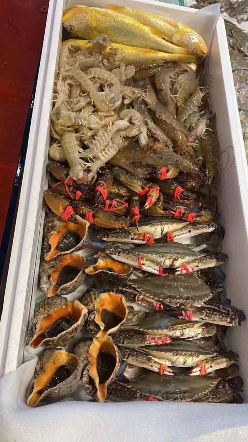 梭子蟹各种鱼类，马交，鲳鱼，黄鱼，黄花等等一系列