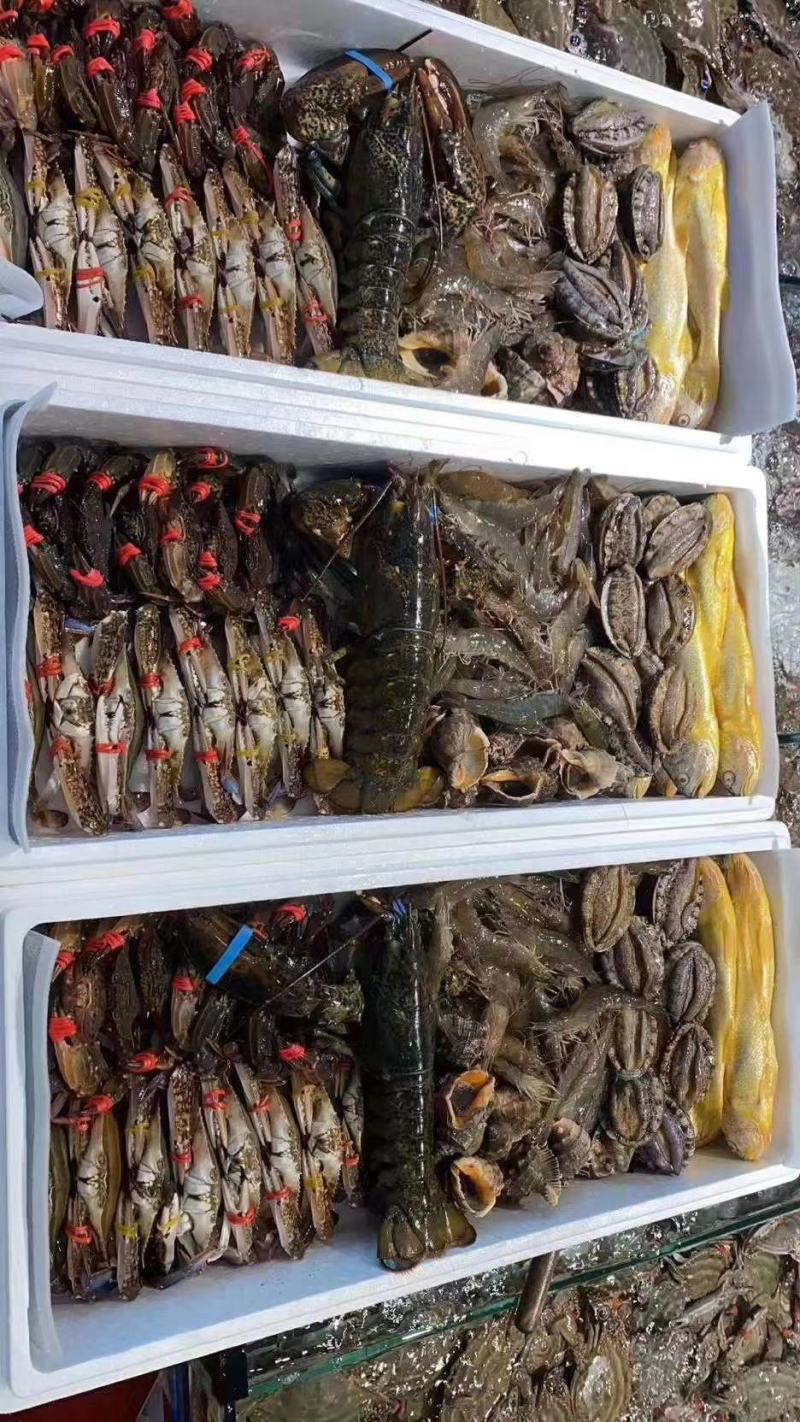 梭子蟹各种鱼类，马交，鲳鱼，黄鱼，黄花等等一系列