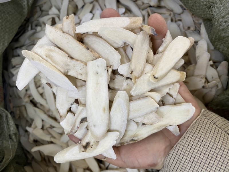 白芍中药材批发各种规格选货