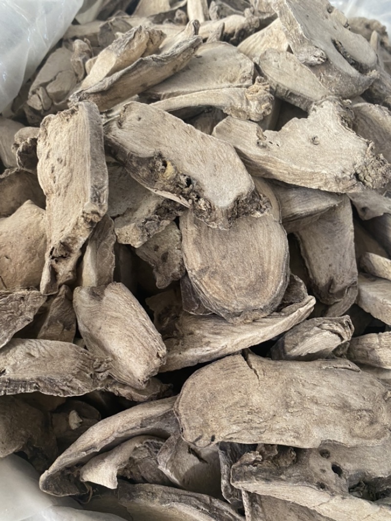 入地老鼠钻地老鼠紫茉莉根