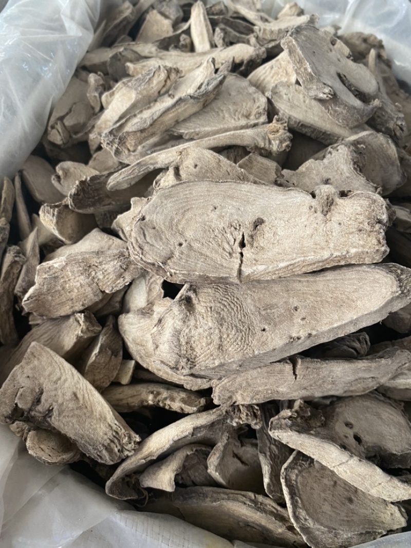 入地老鼠钻地老鼠紫茉莉根