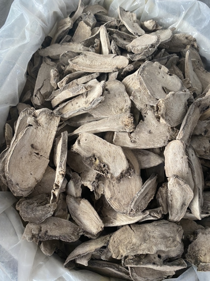 入地老鼠钻地老鼠紫茉莉根