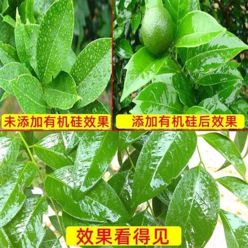 农用有机硅助剂高渗透剂增效剂展着剂防雨剂除草杀菌剂