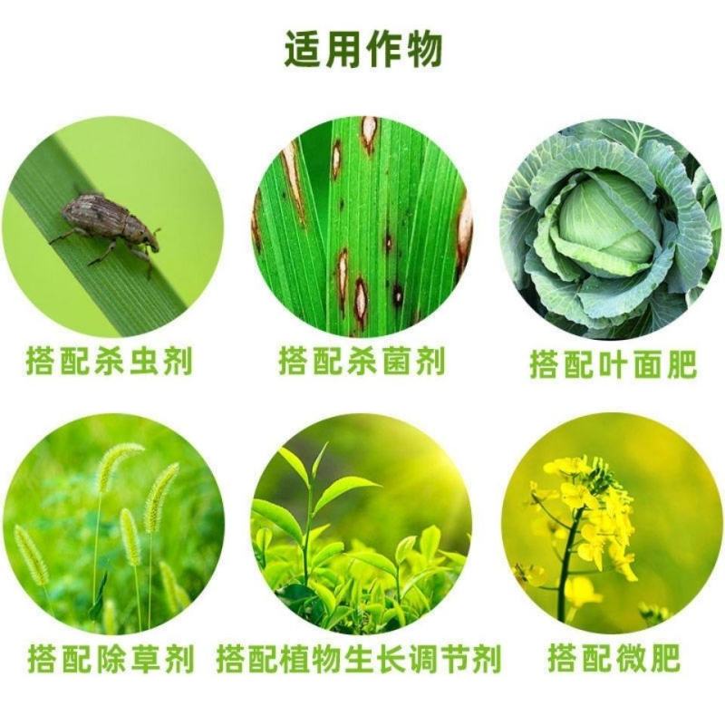 农用有机硅助剂高渗透剂增效剂展着剂防雨剂除草杀菌剂