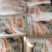 中粮集团香雪白面，多用途麦芯粉10Kg香雪面粉20斤
