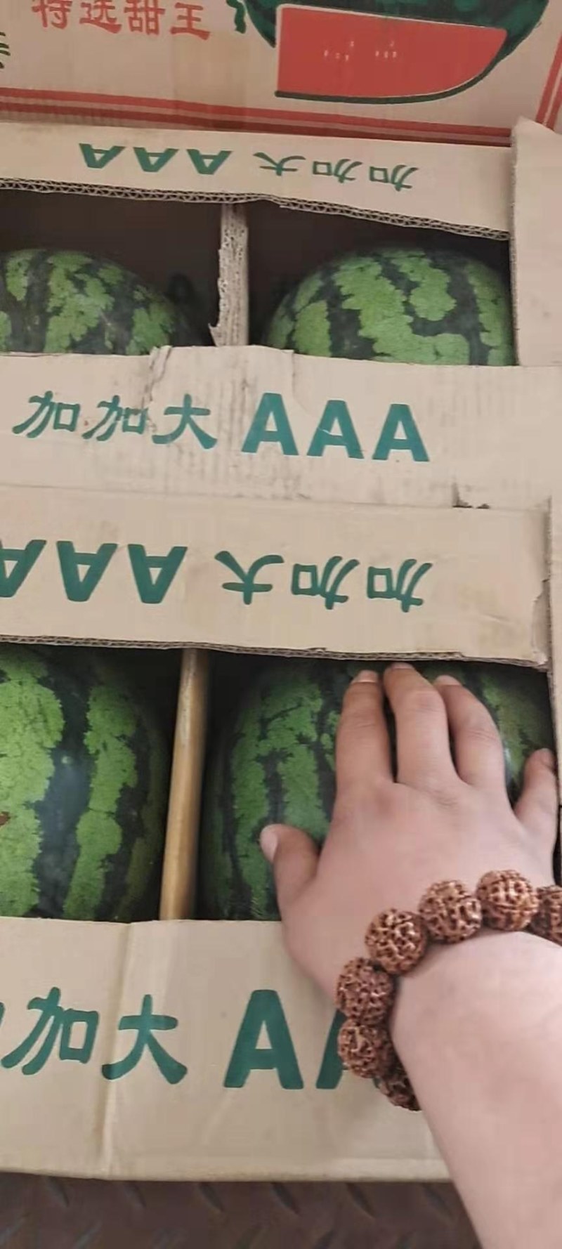 甜王西瓜甜蜜可口耐运输交通便利！代收代发全国