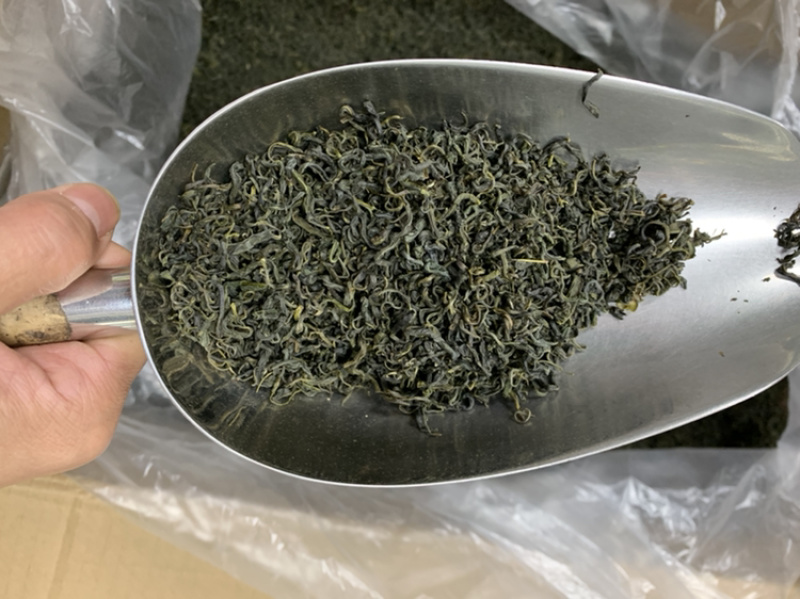 绿茶手工绿茶明前春茶高山绿茶浓香500g批发价