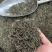绿茶手工绿茶明前春茶高山绿茶浓香500g批发价