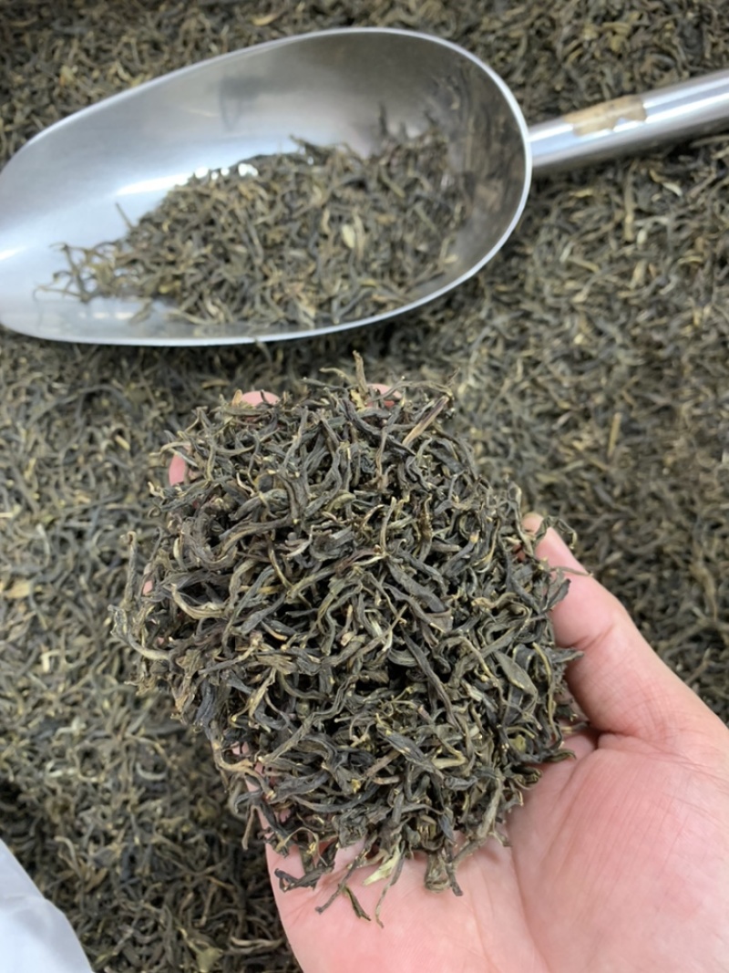 绿茶手工绿茶明前春茶高山绿茶浓香500g批发价