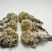 雪莲花藏雪莲干货中药材量大从优2斤起包邮