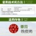 33.5%喹啉铜番茄黄瓜葡萄柑橘晚疫病溃疡病杀菌剂