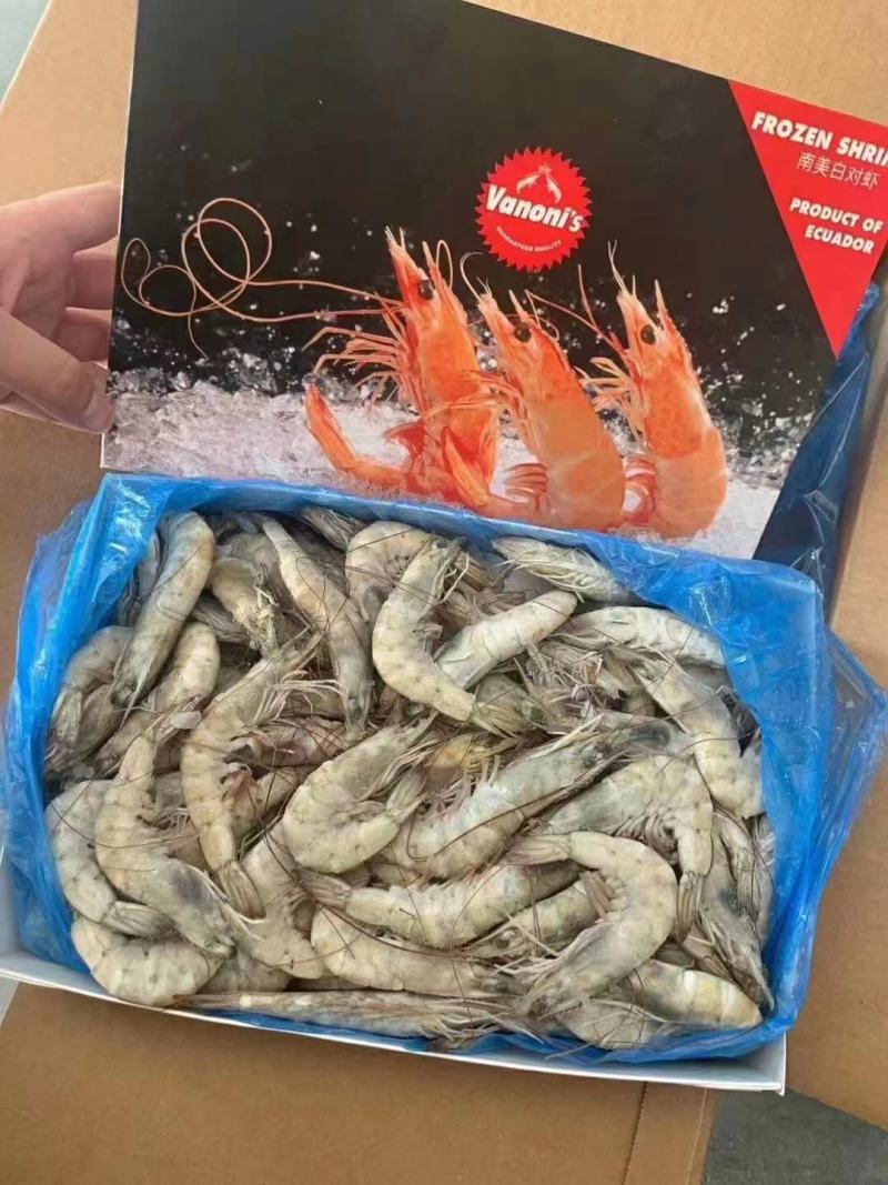大量供应多种型号南美对虾