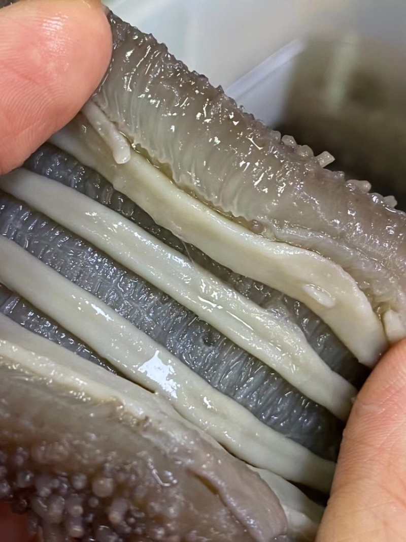 即食海参免泡发，新鲜加热即食口感鲜嫩Q弹