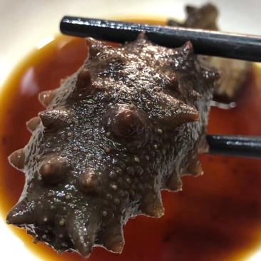 即食海参免泡发，新鲜加热即食口感鲜嫩Q弹