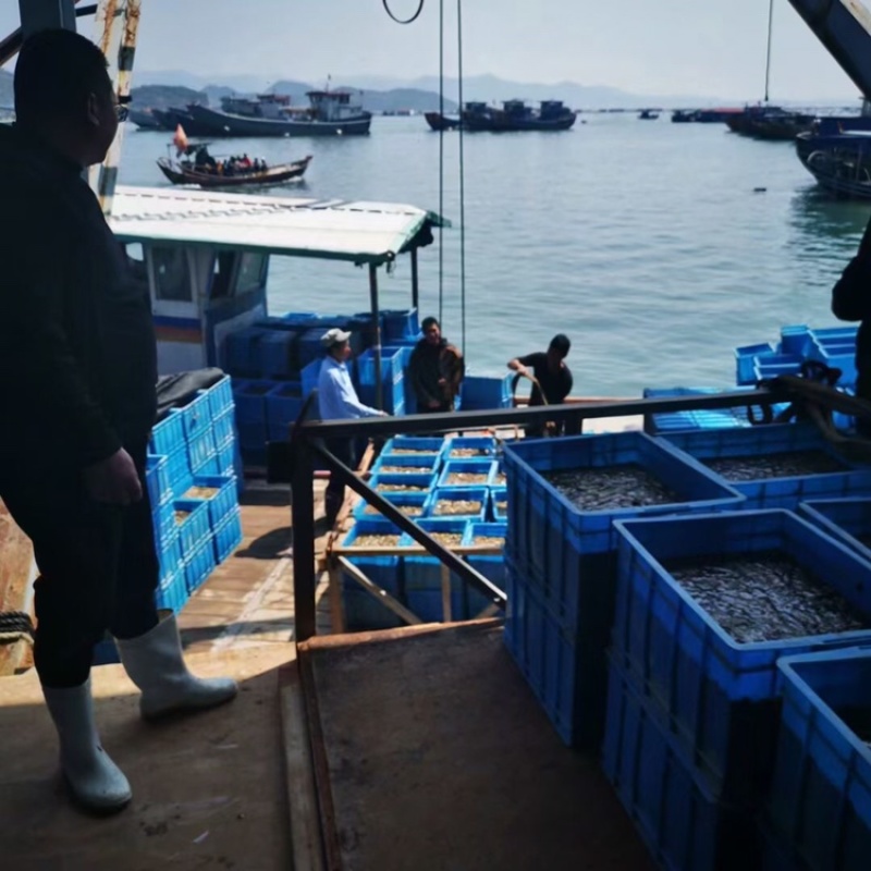 即食海参免泡发，新鲜加热即食口感鲜嫩Q弹