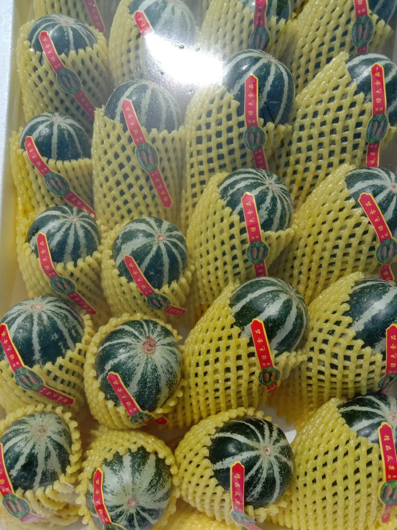 乐亭甜瓜大量上市，期待与各地采购商，通过一亩田做生意！