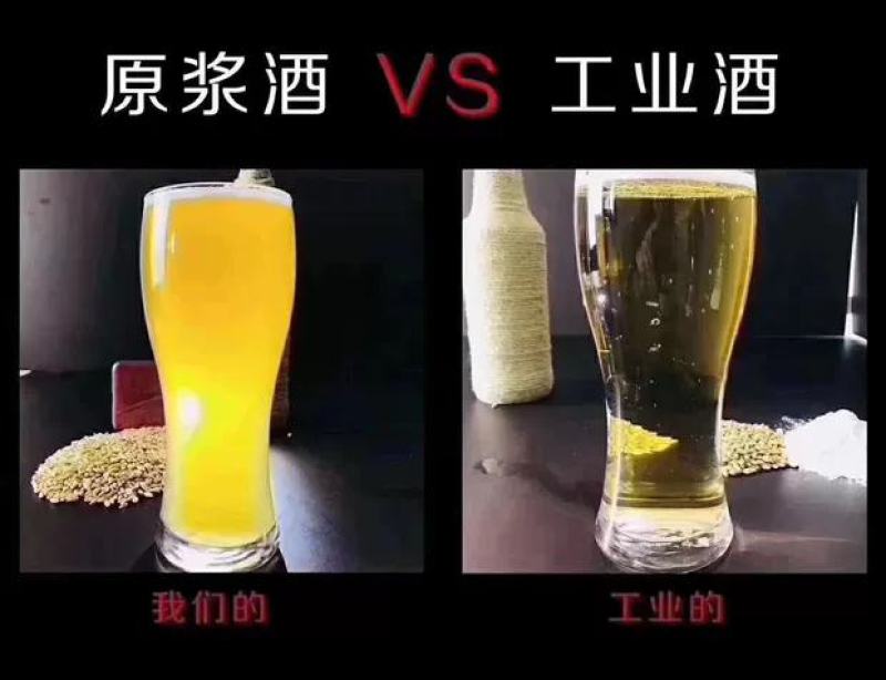 青岛金特精酿12P原浆新规格720ml，寻求合作商